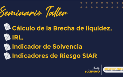 Material SEMINARIO TALLER Cálculo de la Brecha de liquidez, IRL, Indicador de Solvencia e Indicadores de Riesgo SIAR